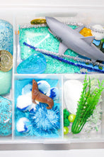 Load image into Gallery viewer, Ocean Sensory Kit

