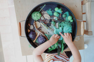 Critters Sensory Kit- SOLD OUT