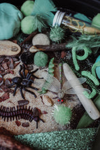 Load image into Gallery viewer, Critters Sensory Kit- SOLD OUT
