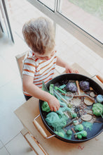 Load image into Gallery viewer, Critters Sensory Kit- SOLD OUT
