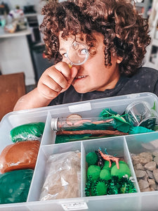 Critters Sensory Kit- SOLD OUT