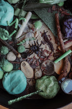 Load image into Gallery viewer, Critters Sensory Kit- SOLD OUT
