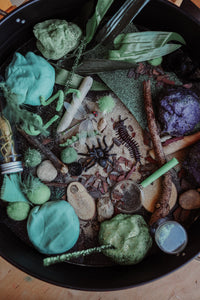 Critters Sensory Kit- SOLD OUT
